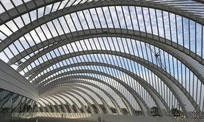 Dyoung event florida