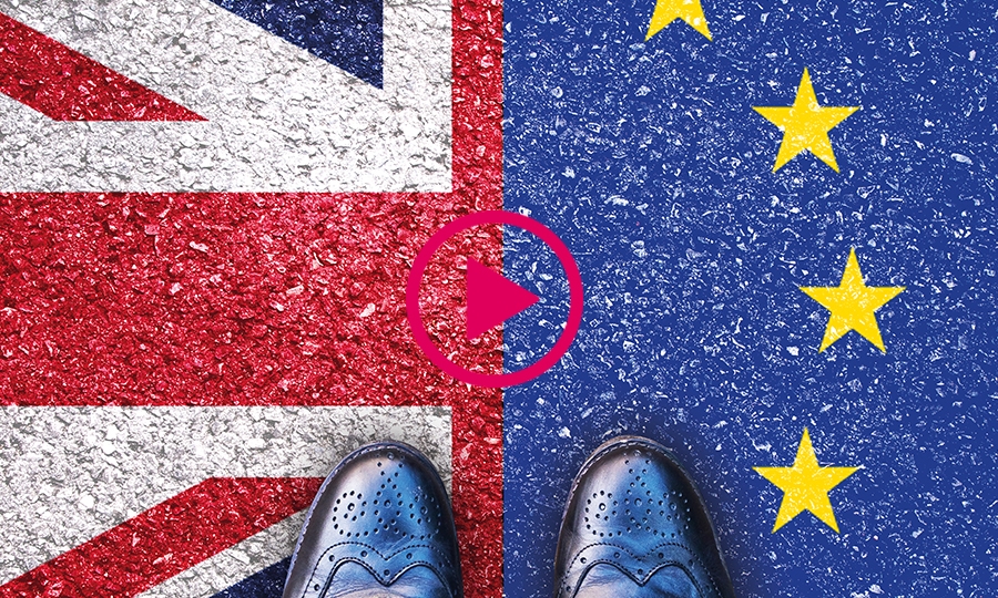 Dyoung webinar brexit