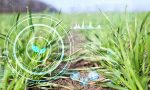 Website event agritech